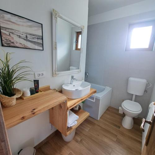 a bathroom with a sink and a toilet and a mirror at Cozy Living in Dealu Negru