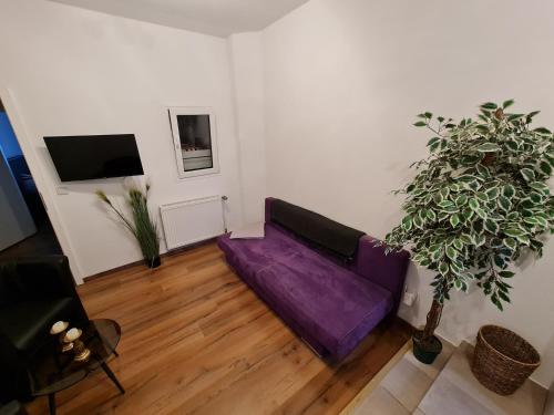 a living room with a purple couch and a plant at Hotel Neptuns Ankerplatz in Cuxhaven