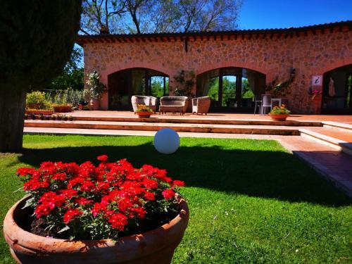 a pot of red flowers in front of a house at Agriturismo Podere S. Croce in Saturnia