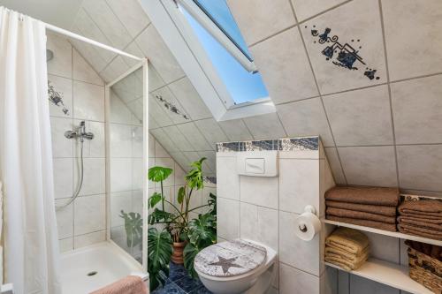 a bathroom with a shower toilet and a sink at Yvette's Ferienwohnung in Lugau