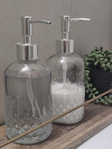 two glass bottles on a wooden shelf with a plant at Calido Depa, renovado, tranquilo y céntrico in Ciudad Juárez