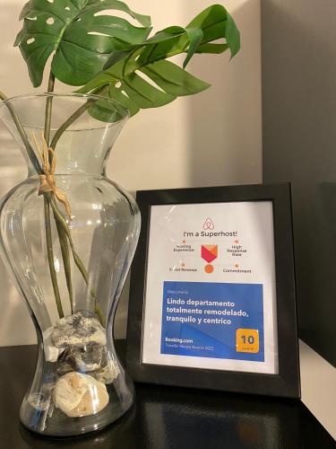 a vase with a plant in it next to a plaque at Calido Depa, renovado, tranquilo y céntrico in Ciudad Juárez