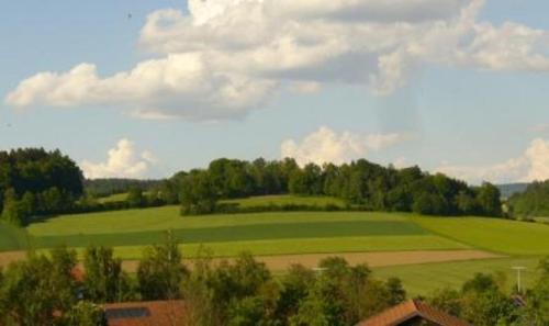 Paysage naturel près de l'appartement