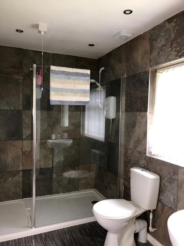 a bathroom with a toilet and a shower at Chalet 147 South Shore Bridlington in Bessingby