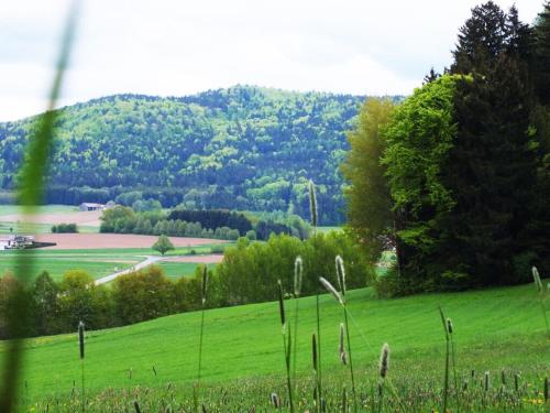 Paysage naturel près de l'appartement
