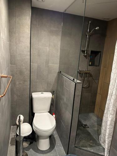 une salle de bain avec toilettes et douche dans l'établissement appartement Vitry sur Seine, à Vitry-sur-Seine