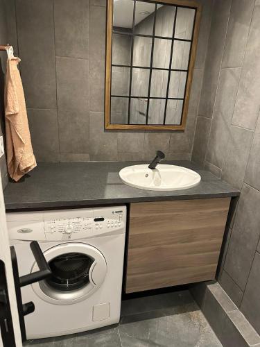 une salle de bain avec une machine à laver et un lavabo dans l'établissement appartement Vitry sur Seine, à Vitry-sur-Seine