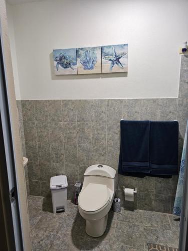 a bathroom with a toilet and three paintings on the wall at Casaplayuela in Camaceyes