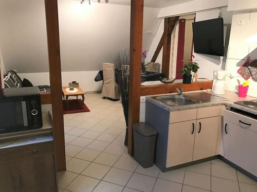 une cuisine avec un évier et un micro-ondes dans l'établissement Bel appartement de charme de 70 m2, à Thannenkirch