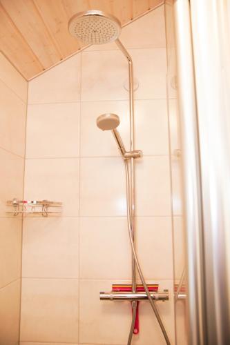 a shower with a shower head in a bathroom at Henneglück mit Fernblick! in Meschede