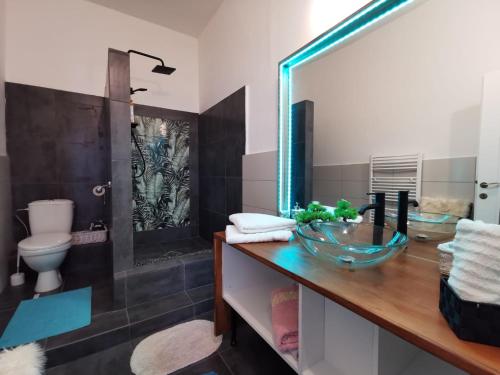 クルジュ・ナポカにあるApartament Luna Gruiaの洗面台とシャワー付きのバスルーム