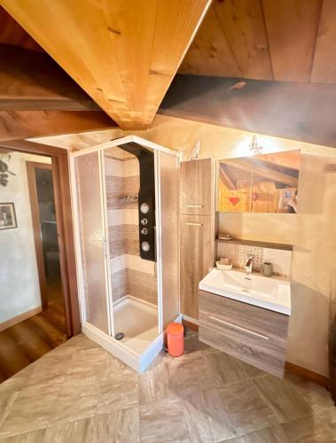 a bathroom with a shower and a sink at La Maison de Julie in Pré-Saint-Didier