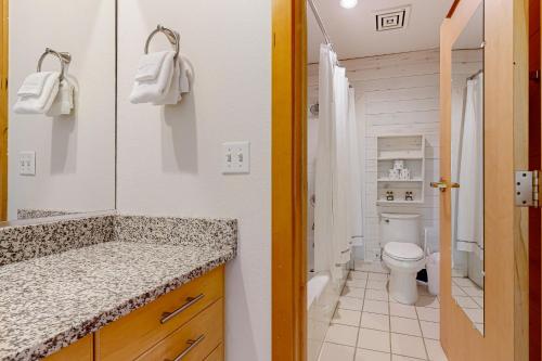 a bathroom with a toilet and a sink and a mirror at Stay in Solitude - Creekside 102 in Solitude