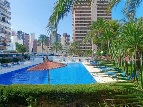 Bermudas apartamento con piscina en Benidorm