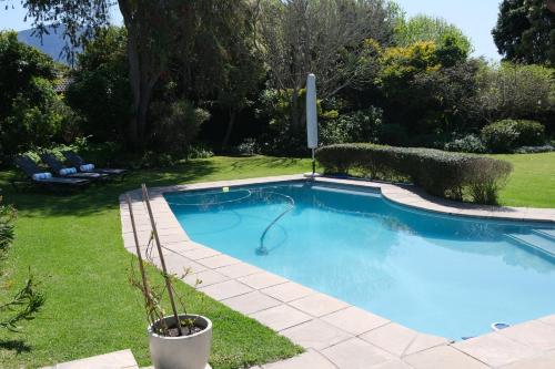 a swimming pool in a yard with a potted plant at High Hedges Guest Suites Constantia in Cape Town