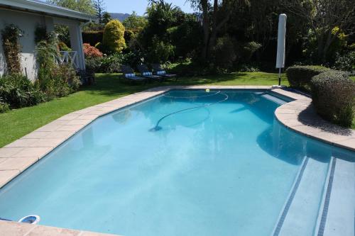 a large blue swimming pool with a turtle in the middle at High Hedges Guest Suites Constantia in Cape Town