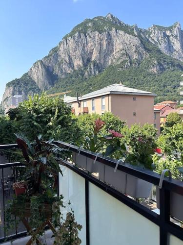 a balcony with plants and a mountain in the background at Dolce Casa in Lecco