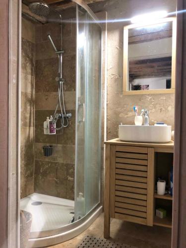 une salle de bain avec douche et lavabo dans l'établissement Le Petit Clos d'Anjou avec Bain nordique et sauna, à Montreuil-Bellay