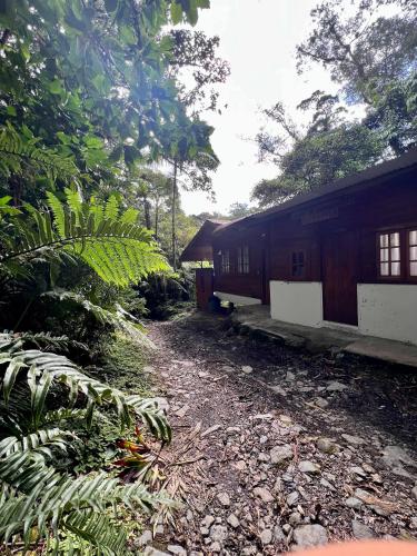 a train car parked next to a forest at Los Quetzales Ecolodge & Spa in Cerro Punta