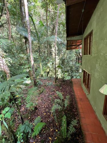 a walkway leading to a house in the woods at Los Quetzales Ecolodge & Spa in Cerro Punta