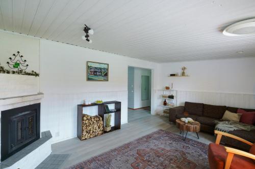 Ruang duduk di Lapland Homestead - authentic finnish hideaway