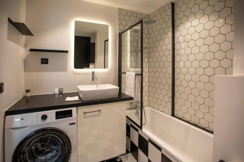 une salle de bain avec une machine à laver et un lavabo dans l'établissement Le Cygne - vue montagne - proche du centre ville, à Annecy