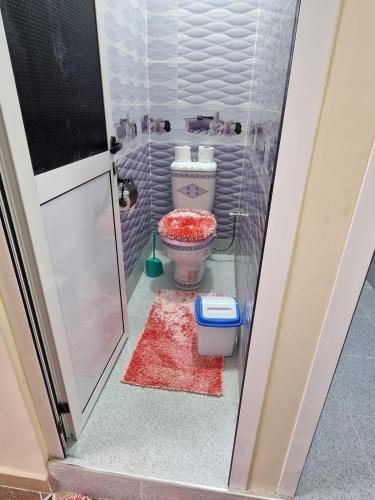 a small bathroom with a toilet and a shower at Dar Latifa in Tinerhir