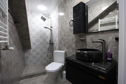 een badkamer met een toilet, een wastafel en een douche bij Chanko Apartment in Borjomi
