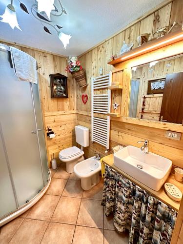 a bathroom with a sink and a toilet and a shower at Le Grenier de Olga e Mario in Pré-Saint-Didier