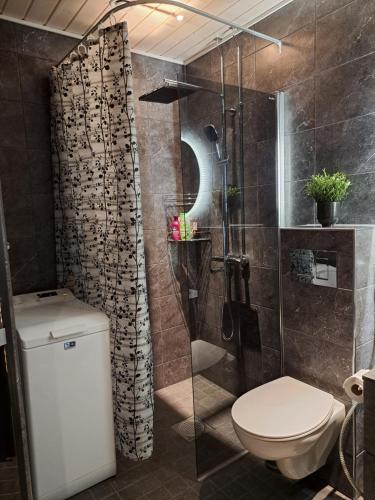 a bathroom with a toilet and a shower at Saunallinen yksiö in Pieksamaki