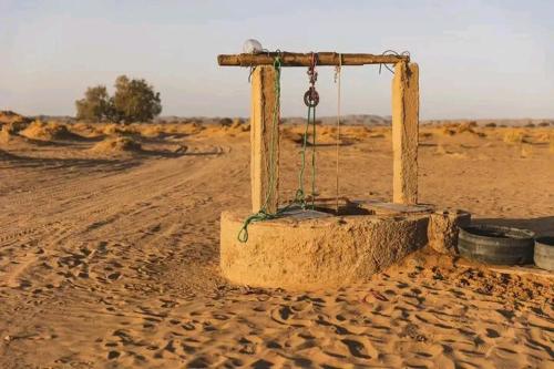a desertificialificialificialificialificialificialificialificialificialificialificialificialificialificial at AUBERGE SAHARA IRIKI & Désert Tours in Foum Zguid
