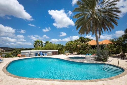 a swimming pool with a palm tree in front of a house at The Village at Blue Bay Golf & Beach Resort in Sint Michiel