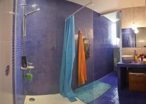 une salle de bain avec douche aux carreaux bleus dans l'établissement Danton, à Toulon