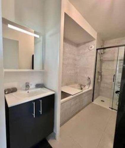 une salle de bain avec un lavabo et une douche dans l'établissement Le Panoramique vue mer, à Dunkerque
