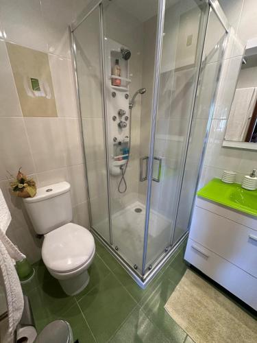 a bathroom with a shower and a toilet in it at Casa do Vale - Seixas in Caminha