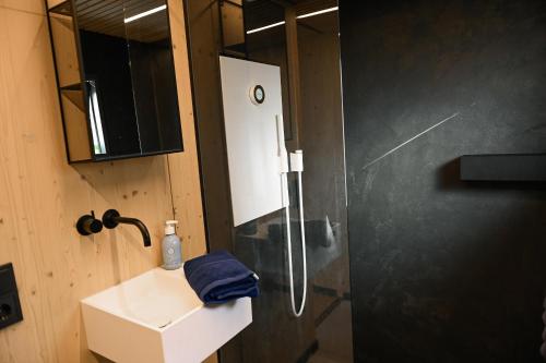a bathroom with a shower and a sink and a mirror at Tiny House Pioneer 2 - Green Tiny Spot Friesland in Schortens
