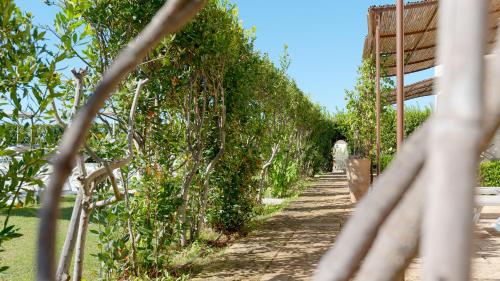 a row of apple trees in a garden at Delle Rose, Hotel & Horse Riding in Torre Vado