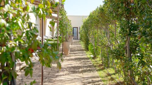a row of fruit trees in a greenhouse at Delle Rose, Hotel & Horse Riding in Torre Vado