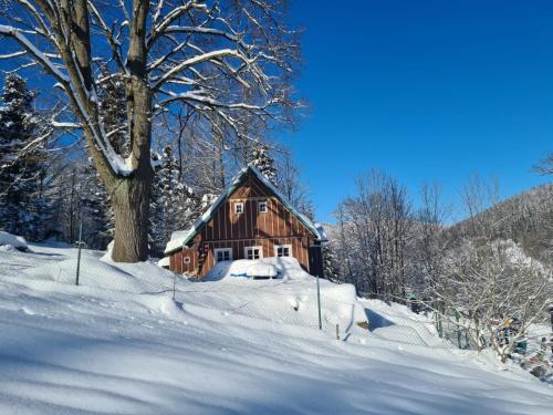 ROUBENKA na SJEZDOVCE