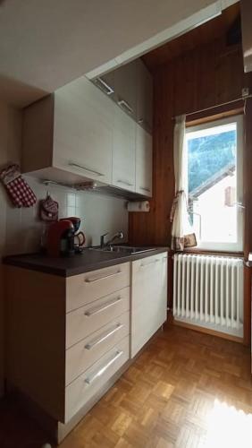 Kuchyň nebo kuchyňský kout v ubytování Zam hus, monolocale walser