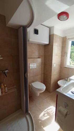 a small bathroom with a toilet and a sink at Zam hus, monolocale walser in Macugnaga