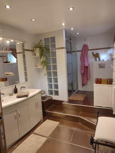une salle de bain avec un lavabo et une douche dans l'établissement Villa Coronille calme et nature, à Entrecasteaux