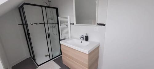 a white bathroom with a sink and a shower at Maison confortable à Casson, 60 m², bien équipée in Casson