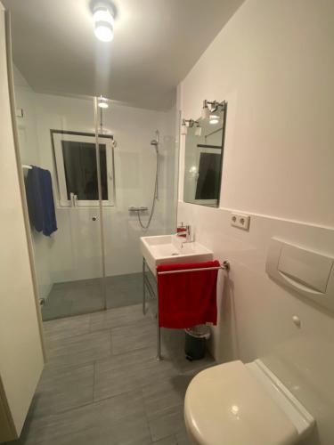 a bathroom with a toilet and a sink and a shower at Ferienwohnung Wulf Sylt EG in Wenningstedt