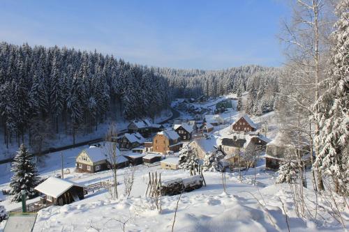 a small village covered in snow with trees at Ferienhaus Anno Dazumal, wie zu Oma`s Zeiten in Klingenthal