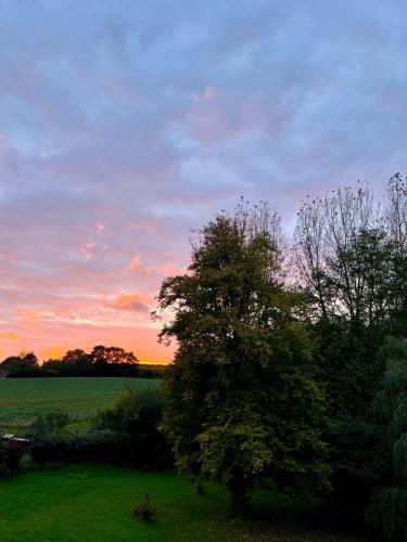 a tree in a field with a sunset in the background at Hébergement Saint Martin d Auxigny in Saint-Martin-dʼAuxigny