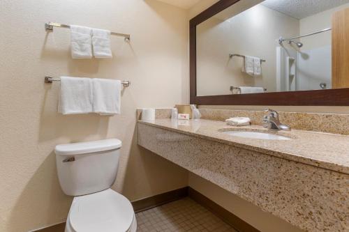 a bathroom with a toilet and a sink with a mirror at Red Roof Inn La Marque in La Marque