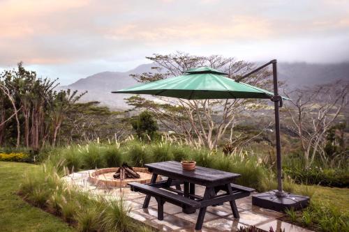 沙马雷勒Green Cottage Chamarel的一张带雨伞和壁炉的野餐桌
