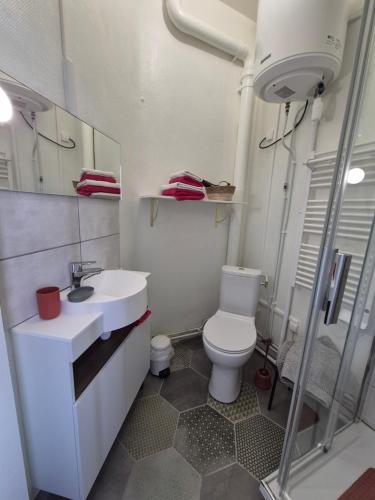 une petite salle de bain avec toilettes et lavabo dans l'établissement Studio face au lac, à Bagnoles-de-l'Orne