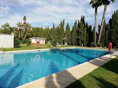 a swimming pool in a yard with palm trees at Place-To-Relax in San Luis de Sabinillas